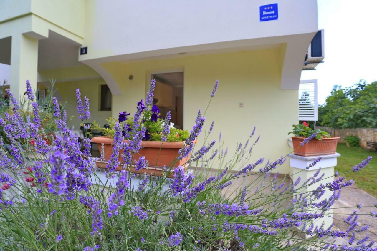 Apartment Romansa